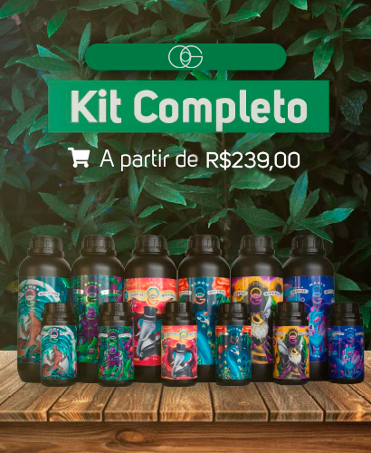 Carrossel 1