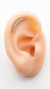 LABRET CLUSTER (MULTIPIEDRA) en internet