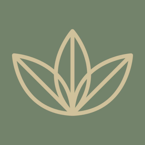 M3 Spa & Wellness