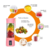 Liquidificador Portátil Para Sucos e Vitaminas - comprar online