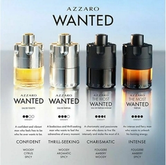 Wanted Azzaro Eau de Toilette na internet