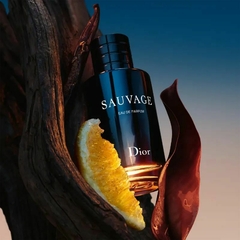 Sauvage Dior Eau de Parfum na internet