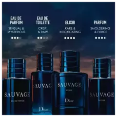 Sauvage Dior Eau de Parfum Refilável - Perfume Masculino na internet