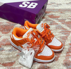 Nike Sb en internet