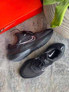 Nike Winflo Hombre en internet