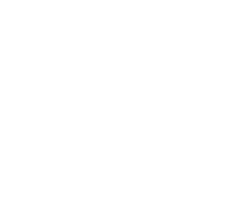 Zorro Azul