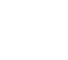 Zorro Azul