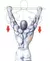 Barra fixa na parede, crossfit Vitalmax na internet