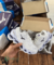 TÊNIS MIZUNO FLOR DE LÓTUS BRANCO