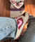 TÊNIS DUNK LOW PRO ROSA/MARSALA - comprar online