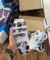 TÊNIS MIZUNO FLOR DE LÓTUS BRANCO - loja online