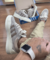 TÊNIS ADIDAS BAD BUNNYX CAMPUS COURO na internet