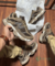 TÊNIS NEW BALANCE 9060 COURO -MARROM - Daelut Shoes