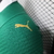 Camisa Palmeiras Versão Jogador 2024 na internet