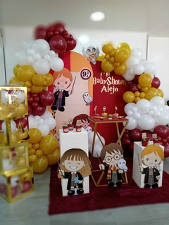 Combo Harry Potter - comprar online