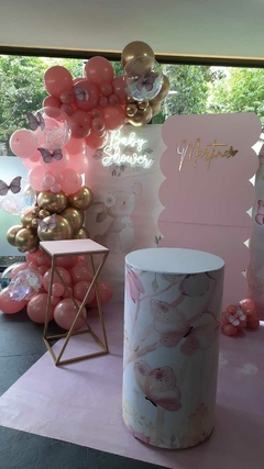 Imagen de Combo Mariposas y Conejita