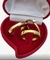 ALIANÇA DE AÇO DOURADO (unidade)