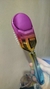 Escova de Cabelo Colorida na internet