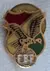 Pin Futbol Federación Boliviana De Futbol Fbf