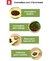 Imagen de DISPENSADOR DE COMIDA tipo AGUACATE