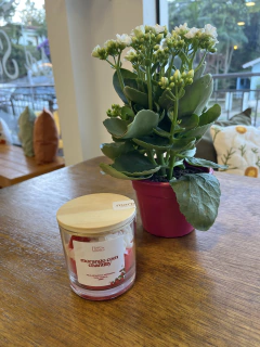 Vela Morango e Chantilly 200G na internet