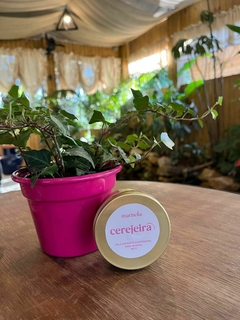 VELA AROMÁTICA FLOR DE CEREJEIRA 90G na internet