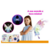 Imagem do Asa Fada Iluminada - DM Toys