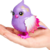 Little Live Pets Pássaros na Casinha - Fun na internet