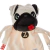 Naninha Tag Pug Zé - Zip - comprar online