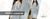 Banner rotativo 3