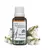 Óleo pronto para pele – 30ml - loja online
