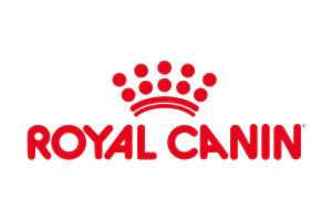 Marca 3 de PalaceDog