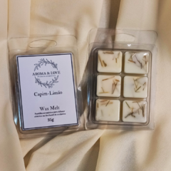 Wax Melt Aromático - Pastilhas para Rechaud e Aromatizador Elétrico na internet