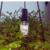 Imagem do banner rotativo Aroma & Love