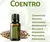 Coriander Óleo Essencial Coriandrum sativum (Sementes de Coentro) 15ml - comprar online