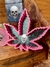 Kit little skull princess na internet