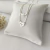 Escapulário de Prata 925 Espírito Santo Feminino 60 cm