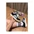 Tênis Feminino Adidas Campus na internet