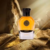 Perfume Arabe Amnia Al Wataniah Eau de Parfum 100ml - Unissex na internet