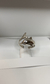 Anillo delfin