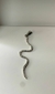 Dije de serpiente grande