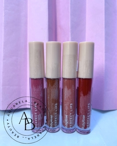 Batom Líquido Perfect Lips- RUBY ROSE