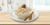 Arroz con Leche en internet