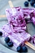 Paleta sabor Yogur de Blueberry en internet