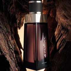Malbec Colônia 100ml na internet