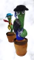 Cactus Bailarin - comprar online