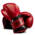Luva Boxe Muay Thai Mma Kickboxing Pretorian Elite + Bolsa