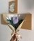 Flor tulipan