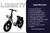 BIKE LIBERTY 500W - SCOOTER ELETRICA na internet