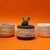 Maceta de concreto decorada con hilo de yute para planta pequeña